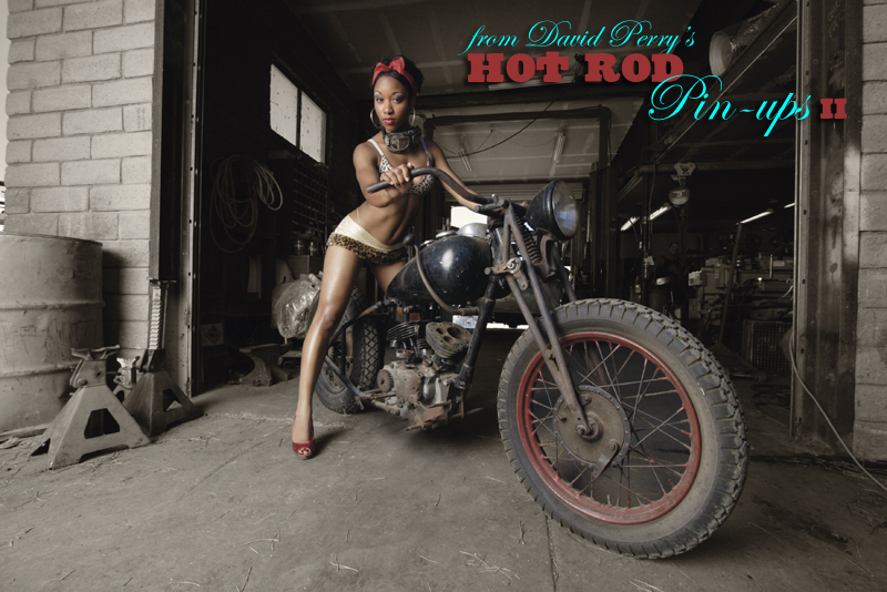 Hot Rod Pinups II by David Perry Pick 2 as your favorites I dare you
