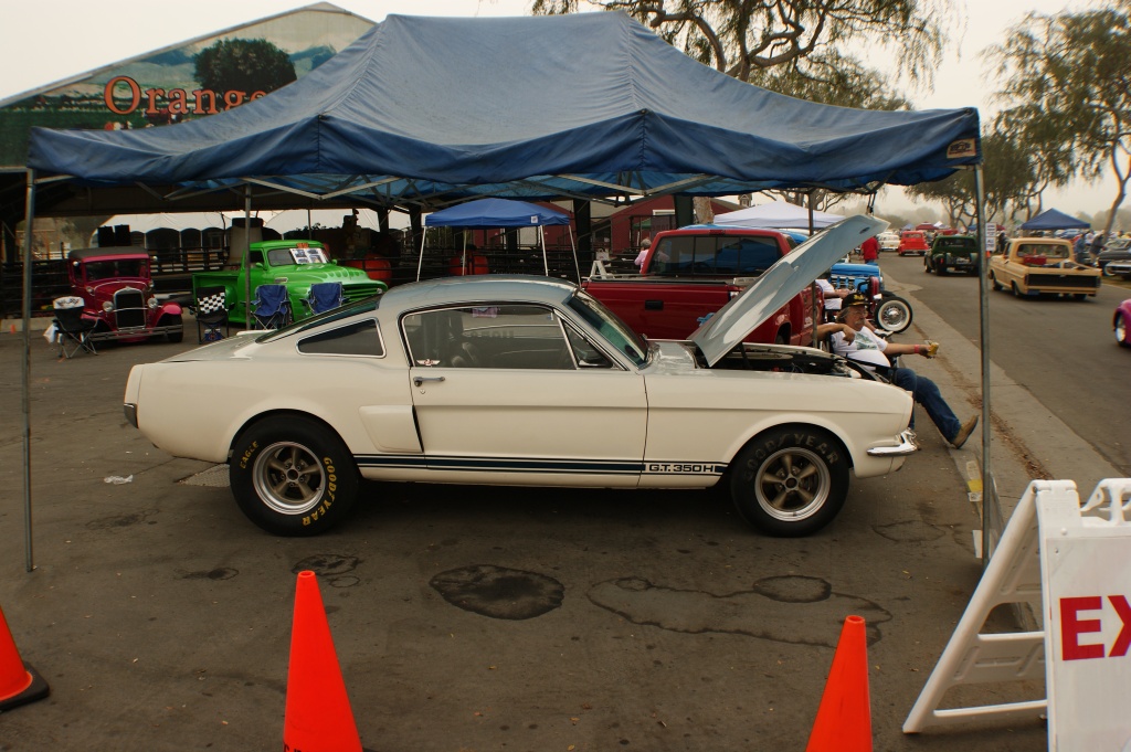 Drag raced, unrestored Hurst Shelby - perfect! 350H Drag raced, unrestored Hurst Shelby - perfect!