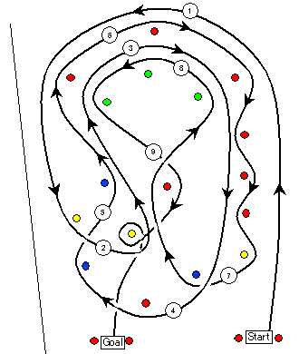 Gymkhana, Course Layout, cones