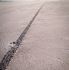 Save The Salt: Preserving a Legendary Race Track