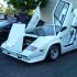 Datsun/Nissan Z Show and Cars & Coffee…Gettin’ Car Sick in Cali!