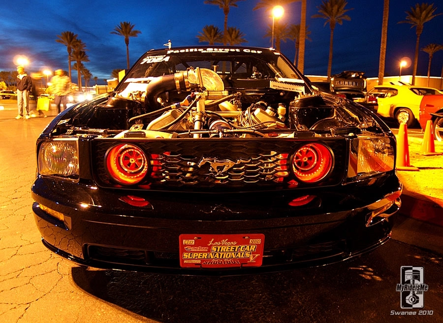 The Pavilions 2010 Pictures