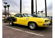 Swanee at the Pavilions Plymouth Baracuda