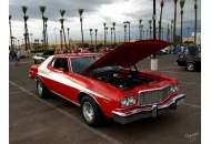 Swanee at the Pavilions Ford Torino