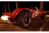 Swanee at the Pavilions Cheetah