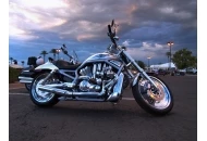 Swanee at the Pavilions P-II Harley Davidson V-Rod