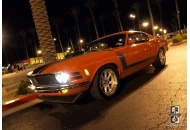 Swanee at the Pavilions P-II The Boss 302