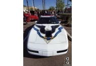 Cruzzin Main Street U.S.A. 