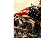 Barrett-Jackson Shooting Stars and Stripes