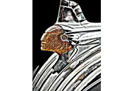 Jean-Marie Michalski 