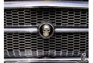 Viva Las Vegas 12 Skull hood ornament