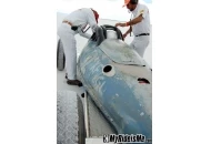 2009 Bonneville Salt Flats: Speed Week Streamliners Streamliners at Bonneville Salt Flats