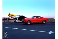 Mustangs And Muscle Cars Mustang and Muscle Cars