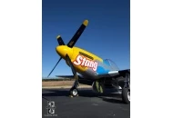 Mustangs And Muscle Cars Mustang and Muscle Cars