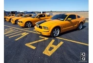 Mustangs And Muscle Cars Mustang and Muscle Cars