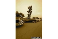 2010 Skoty Chops Hot Rod Car Show Skoty Chops Shootout # 2 2010