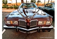 Swanee at the Pavilions 2011 Rock n Roll Car Show