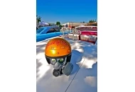 Circus of the Wicked Car and Bike Show 2011 Circus of the Wicked Car Show 