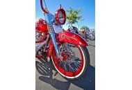 Circus of the Wicked Car and Bike Show 2011 Circus of the Wicked Car Show 