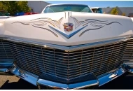 Circus of the Wicked Car and Bike Show 2011 Circus of the Wicked Car Show 