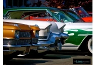 2012 Skoty Chops Shootout 4 2012 Skoty Chops Shootout 4 Pictures