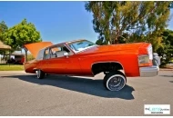 2012 Skoty Chops Shootout 4 2012 Skoty Chops Shootout 4 Pictures