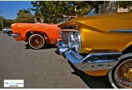 2012 Skoty Chops Shootout 4 2012 Skoty Chops Shootout 4 Pictures