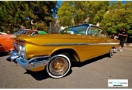 2012 Skoty Chops Shootout 4 2012 Skoty Chops Shootout 4 Pictures