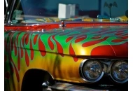 2012 Skoty Chops Shootout 4 2012 Skoty Chops Shootout 4 Pictures