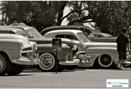 2012 Skoty Chops Shootout 4 2012 Skoty Chops Shootout 4 Pictures