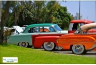 2012 Skoty Chops Shootout 4 2012 Skoty Chops Shootout 4 Pictures