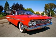 2012 Skoty Chops Shootout 4 2012 Skoty Chops Shootout 4 Pictures