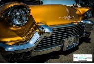 2012 Skoty Chops Shootout 4 2012 Skoty Chops Shootout 4 Pictures