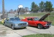the two Mustangs cooking off the winter blues