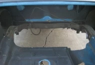 trunk cut
