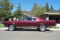 1967 Pontiac OLD GOAT