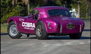 The Winningest Competition Cobra in History “DragonSnake”