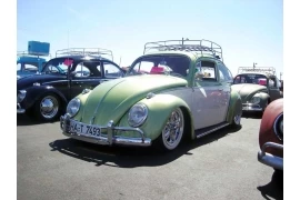 Phoenix Bugorama 2008 