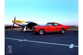 Mustangs And Muscle Cars Mustang and Muscle Cars