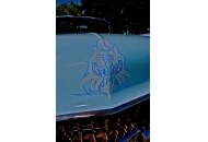 Best Custom Pinstriping of NorCal Custom Pinstriping Design in NorCal