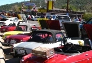 Classic Datsun Car Show 