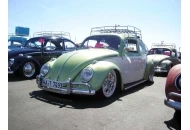 Phoenix Bugorama 2008 