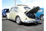 Phoenix Bugorama 2008 