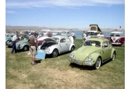 Phoenix Bugorama 2008 