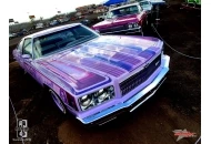 Southwest All Star Battle Southwest All Star Car Battle