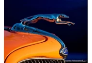 Swanee at the Pavilions 2011 Rock n Roll Car Show