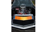 Swanee at the Pavilions 2011 Rock n Roll Car Show