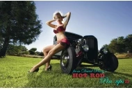 Hot Rod Pinups II 